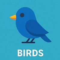 Birds